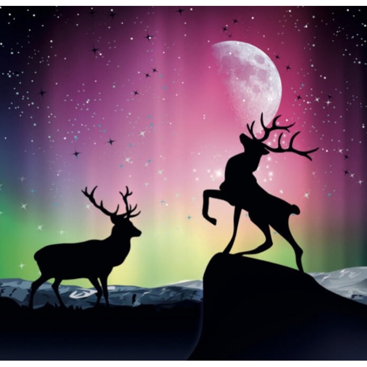 Christmas Cards - Reindeer Christmas Cards - Reindeer